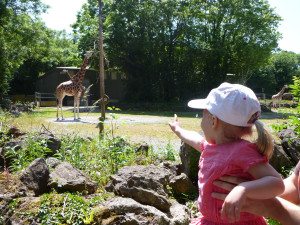 Mini Travellers - Haven Cliffs, Devon - Definitely recommended