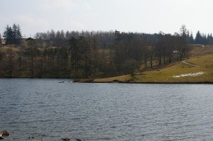 Mini Travellers - Wild Rose Park, Cumbria - A little gem www.minitravellers.co.uk