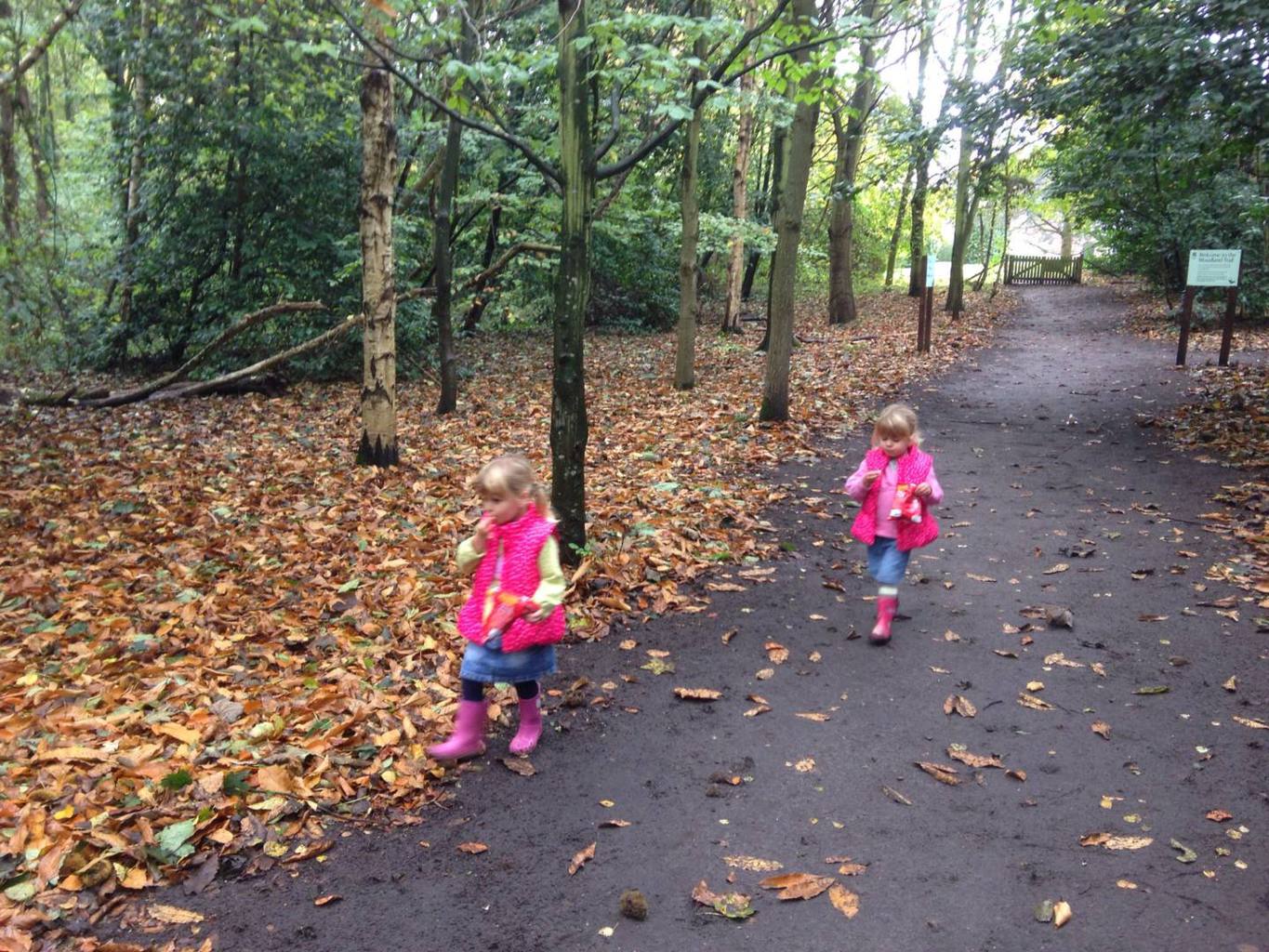 Speke Hall with Mini Travellers