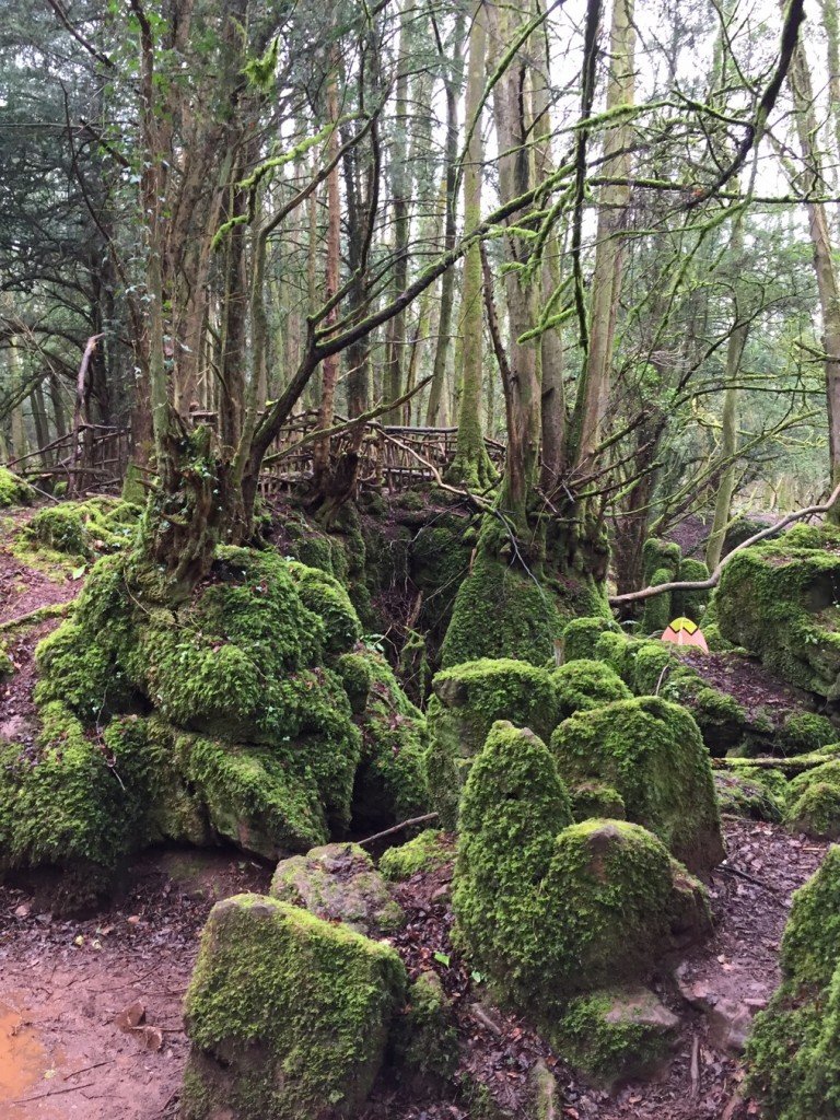 Star Wars is Filmed at Puzzlewood www.minitravellers.co.uk