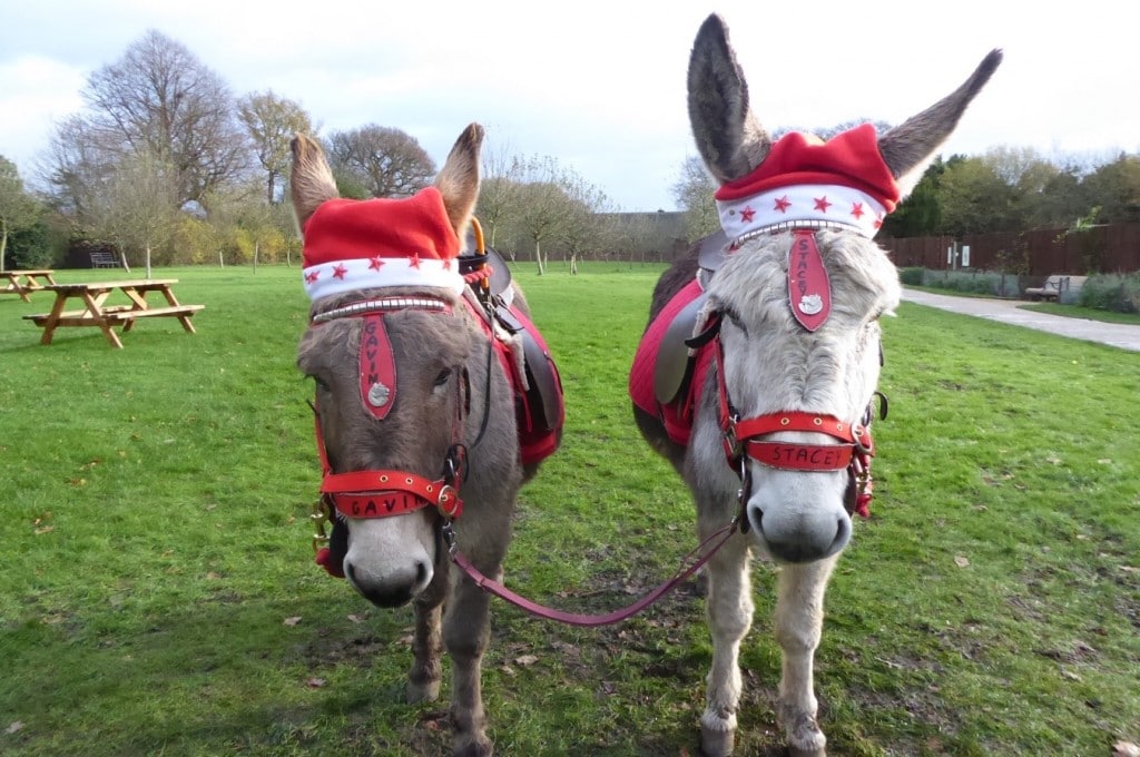 National Trust Christmas Activities www.minitravellers.co.uk