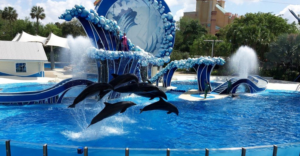 Sea World