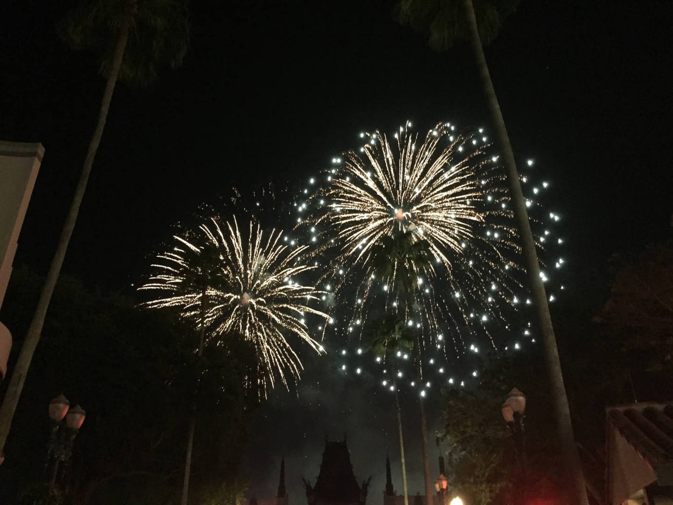 Symphony in the Stars and Illuminations at Hollywood Studios and Epcot at Walt Disney World