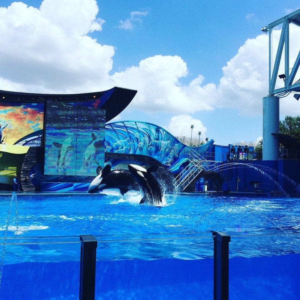 Sea World