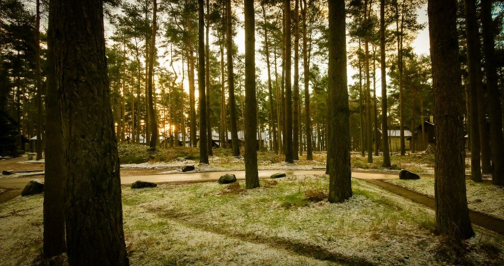 Center Parcs Woodland