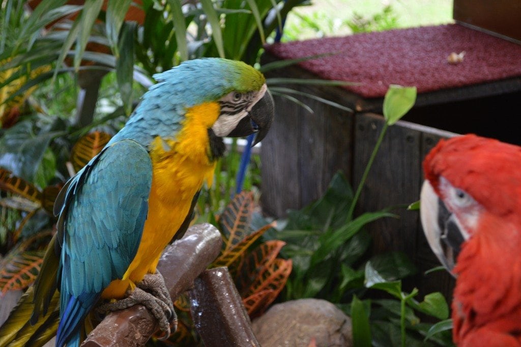 5 Reasons to Visit Tenerife with Kids