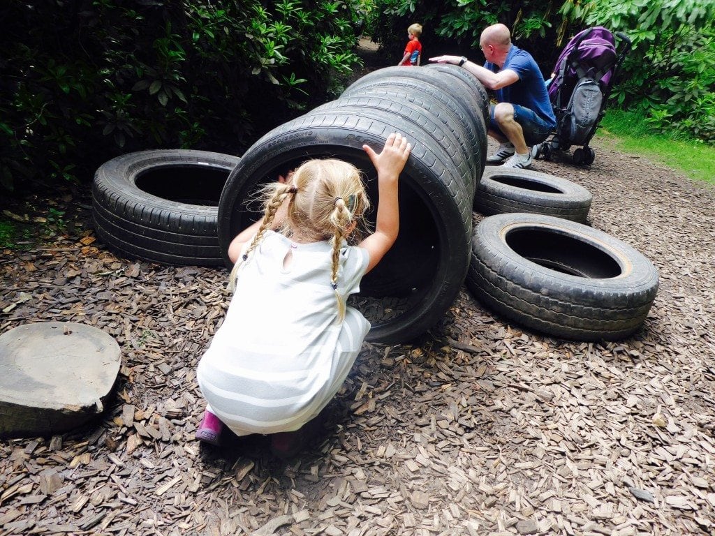 Tremendous Adventures of Roald Dahl at Tatton Park