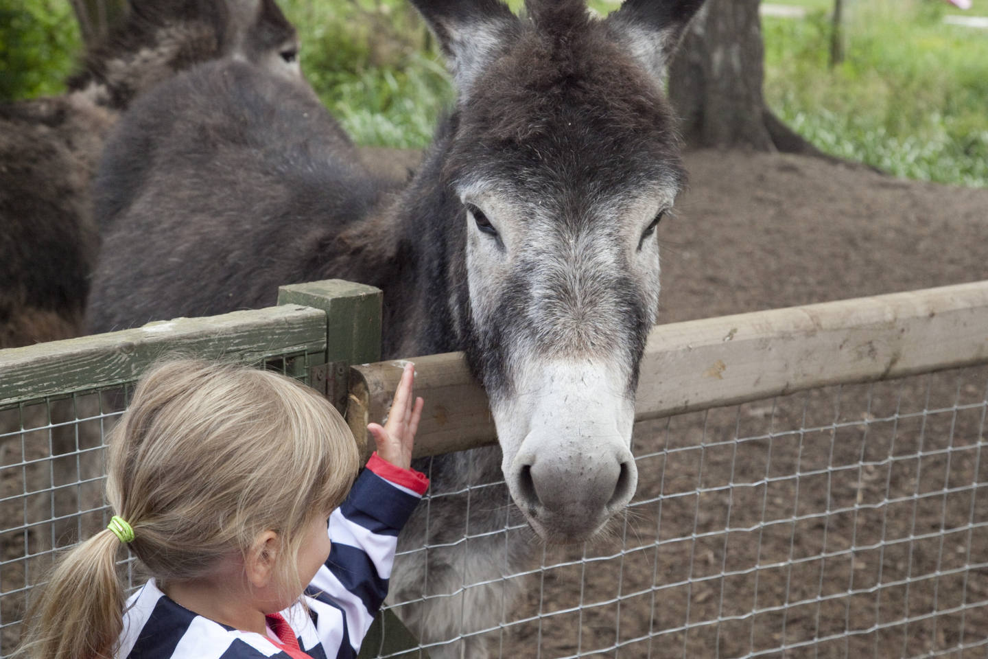 Tattershall Farm Park