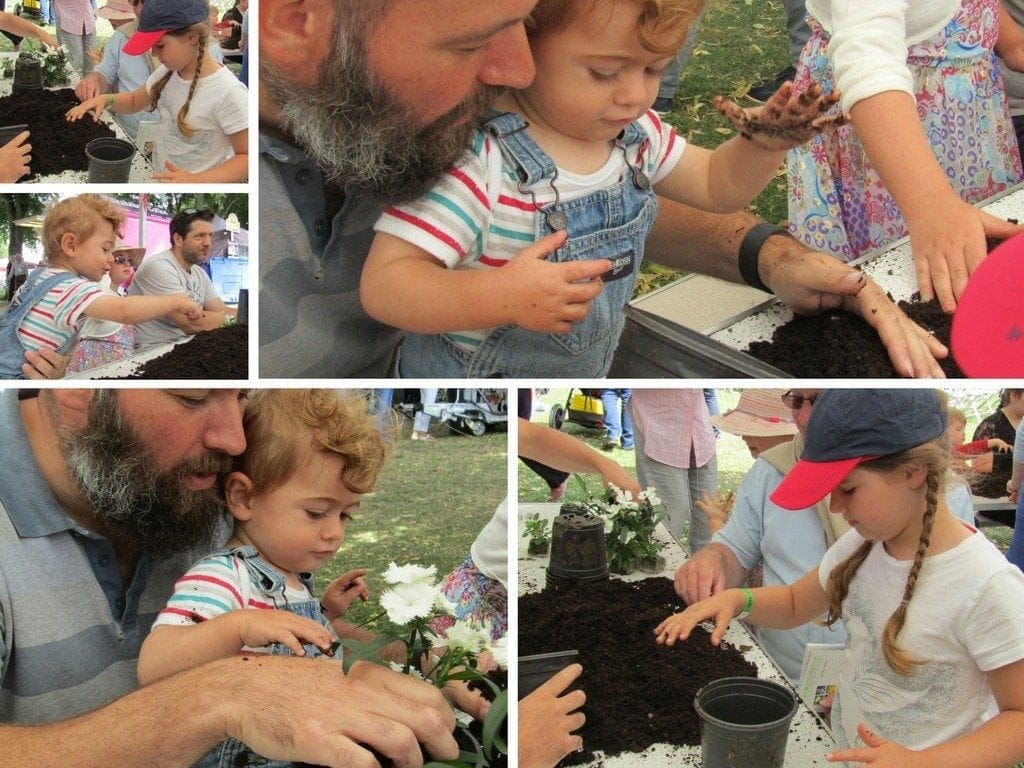 The Shrewsbury Flower Show