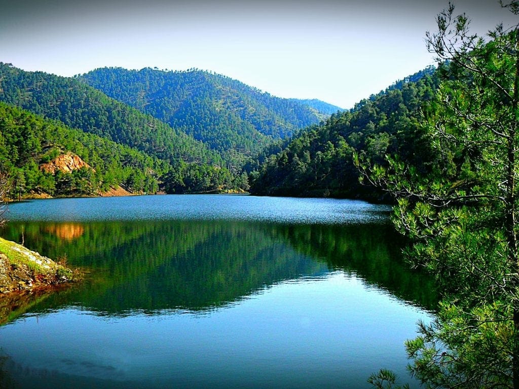 xyliatos_dam_lefkosia_1