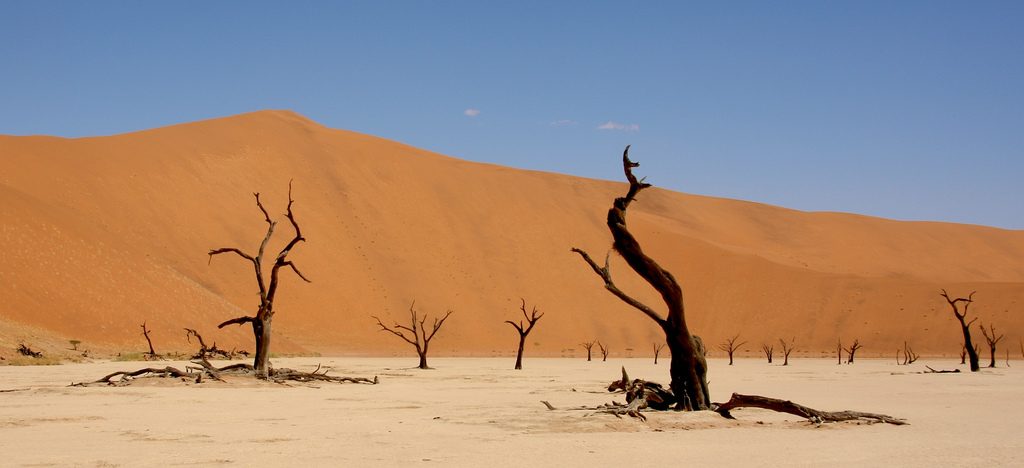 Dead Vlei Namibia www.minitravellers.co.uk