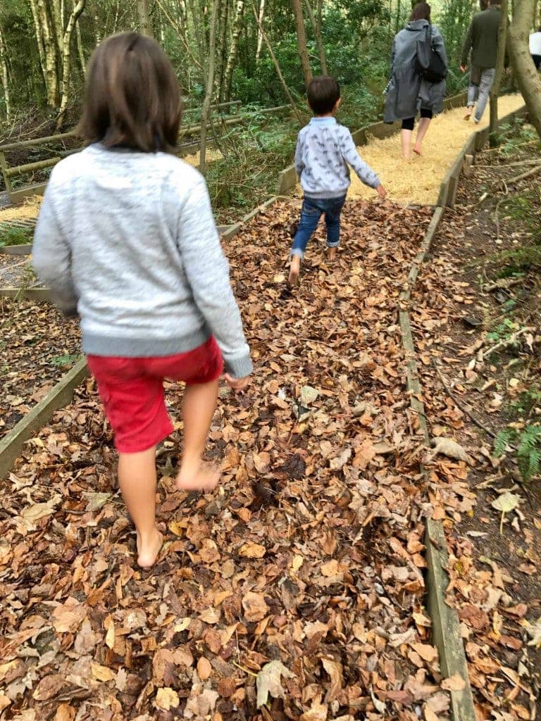 Greenwood Forest Park in North Wales