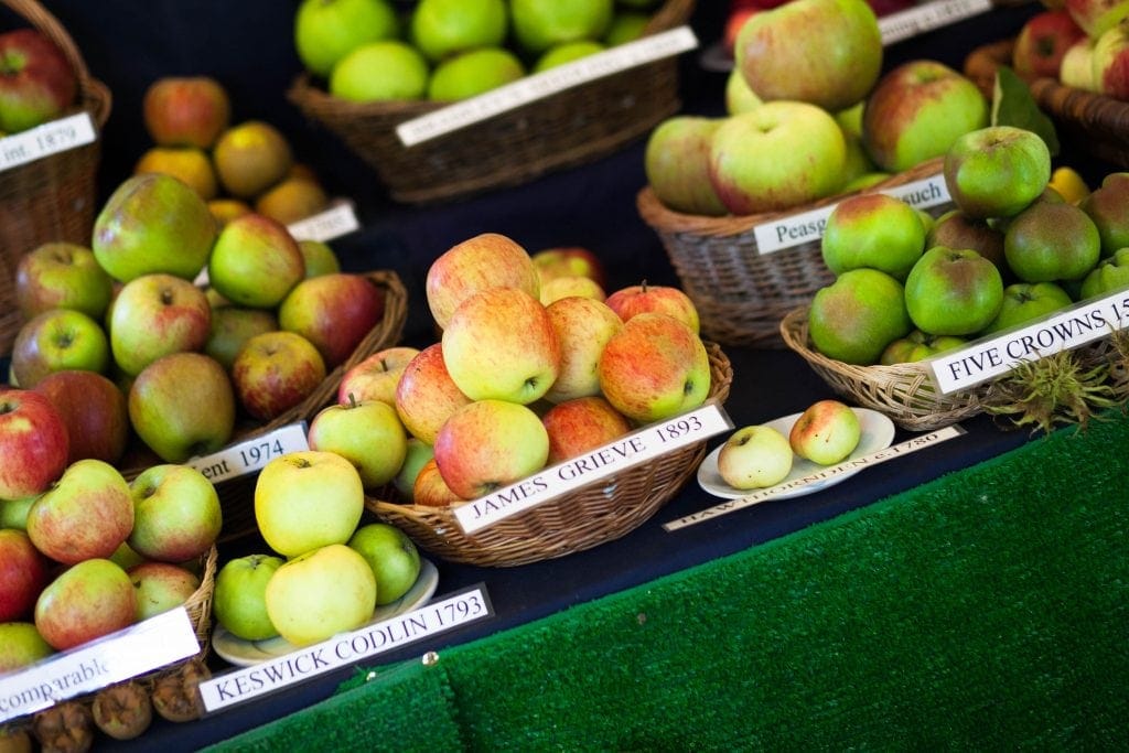 Erddig's Apple Festival