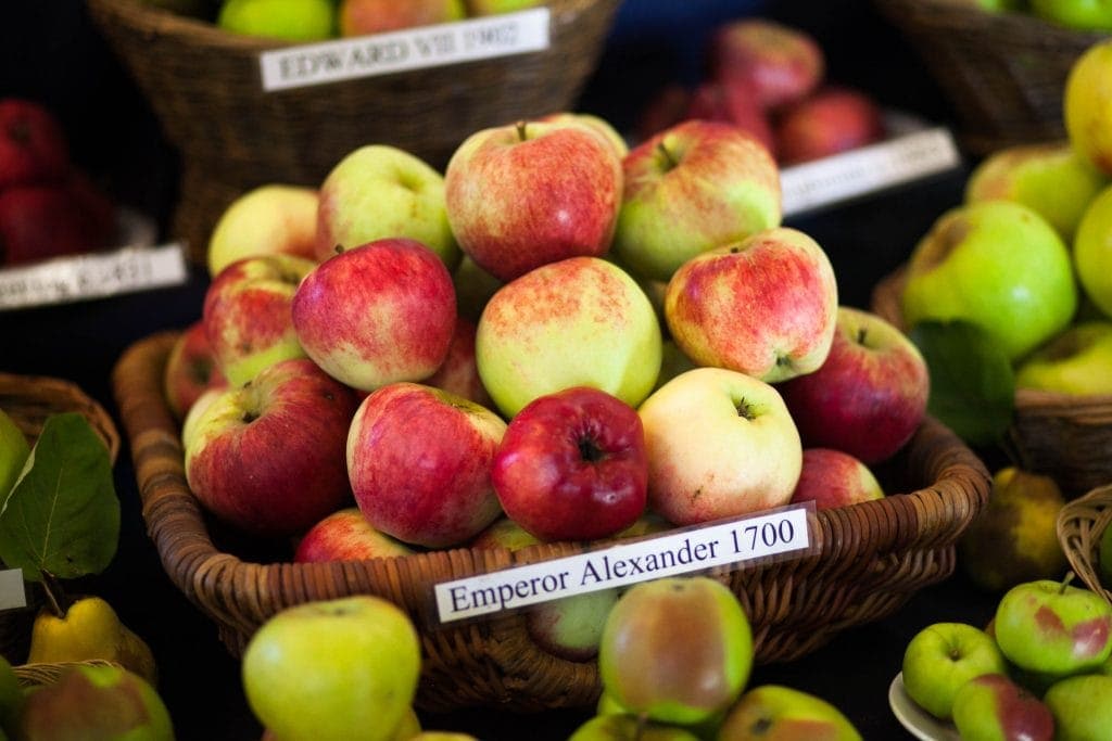 Erddig's Apple Festival