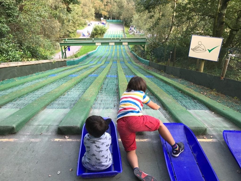 Greenwood Forest Park in North Wales