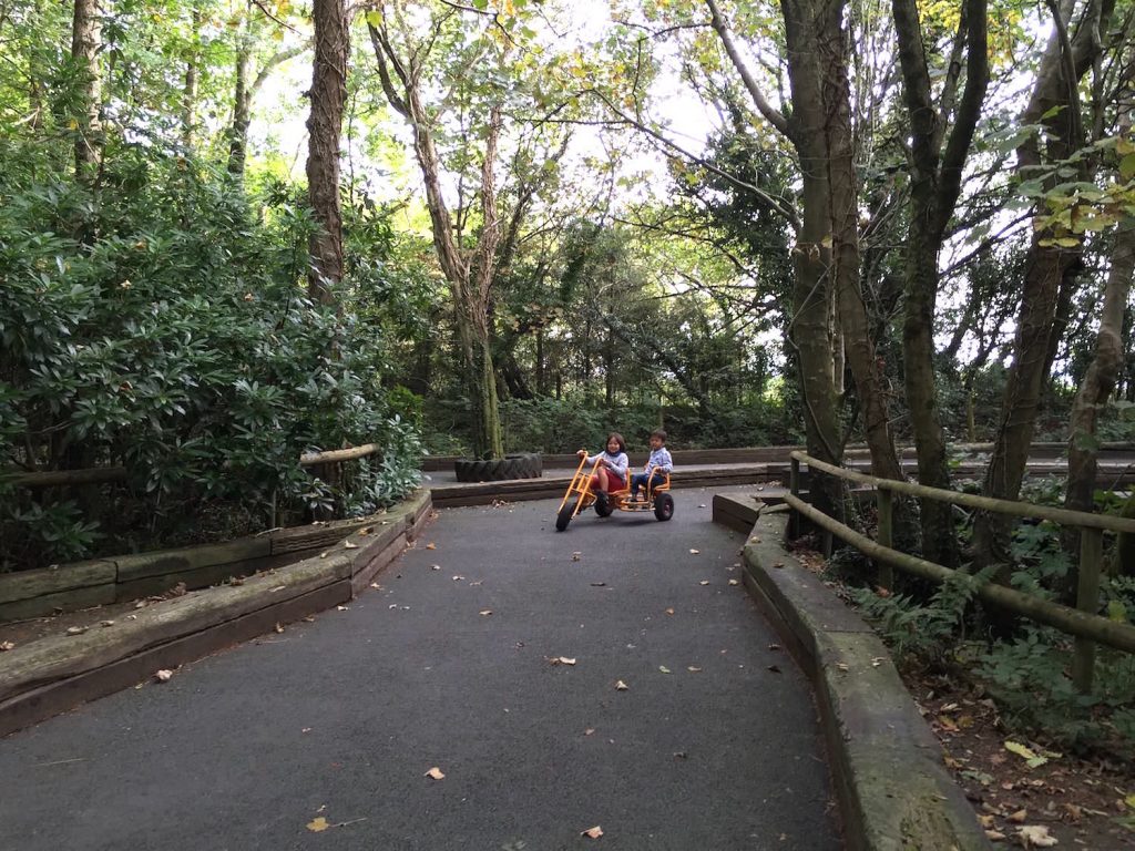 Greenwood Forest Park in North Wales