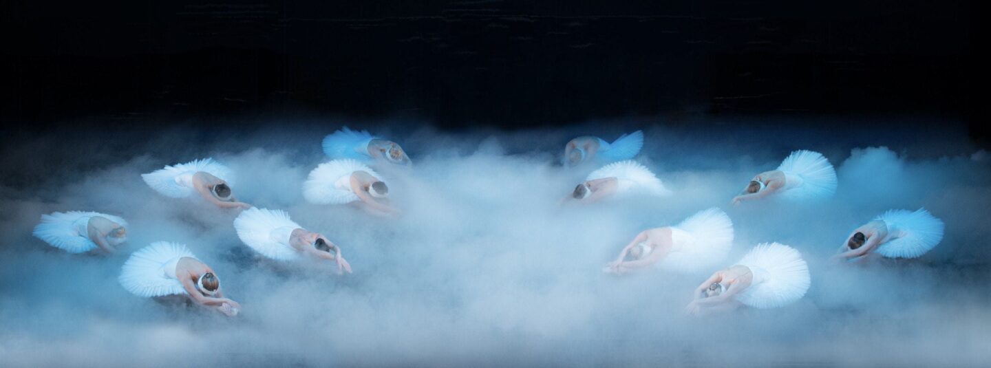 SWAN LAKE ON STAGE AT THE STOCKPORT PLAZA