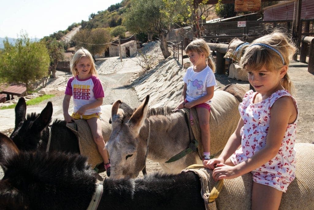 Donkey Safari at Apesia Hills Donkey Sanctuary Limassol Cyprus www.minitravellers.co.uk