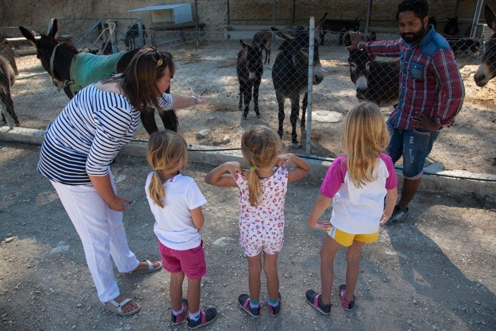 Donkey Safari at Apesia Hills Donkey Sanctuary Limassol Cyprus www.minitravellers.co.uk