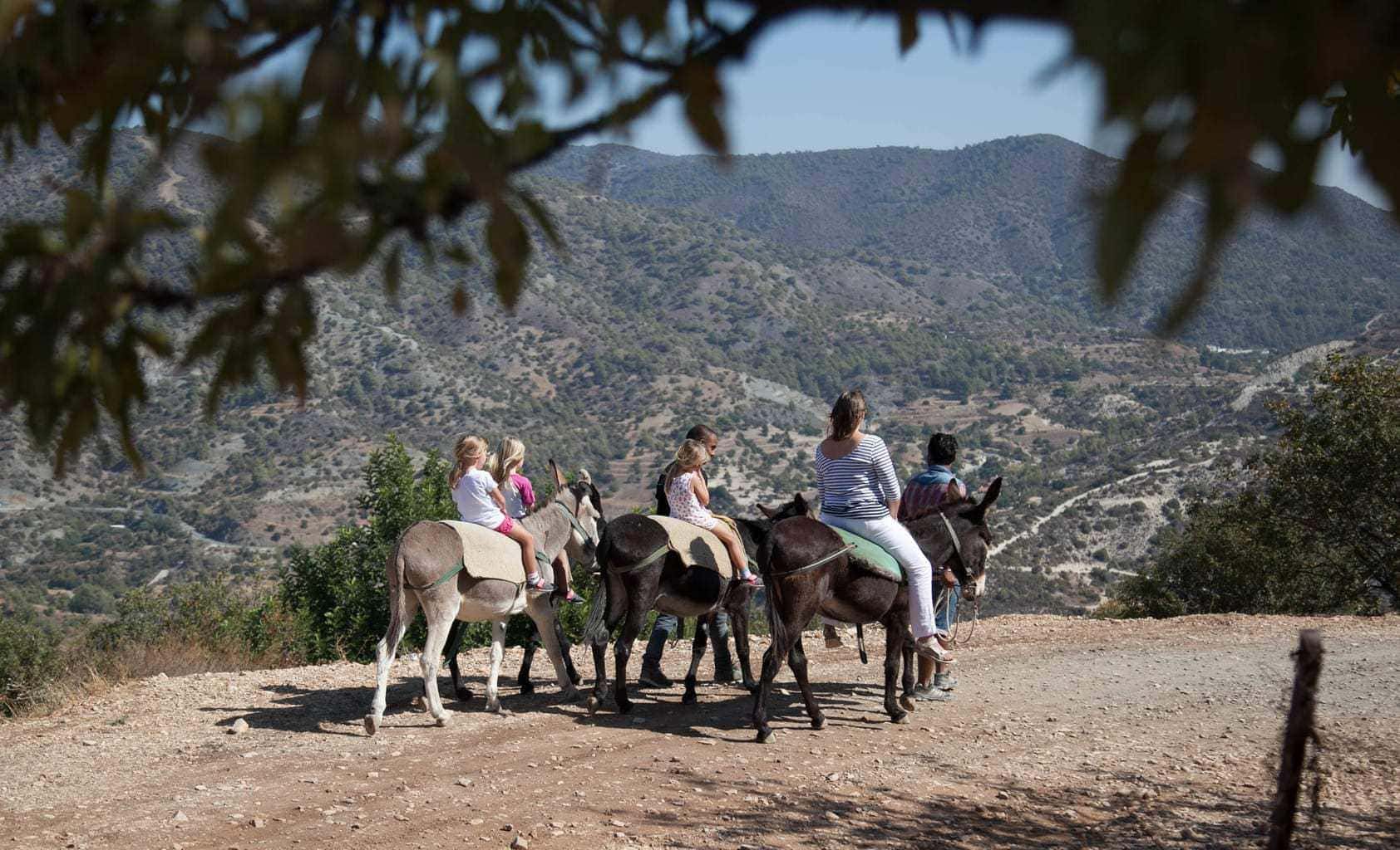 Apesia Hills Donkey Sanctuary Limassol Cyprus www.minitravellers.co.uk