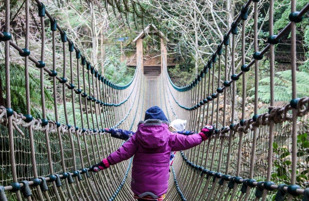 The Lost Gardens of Heligan