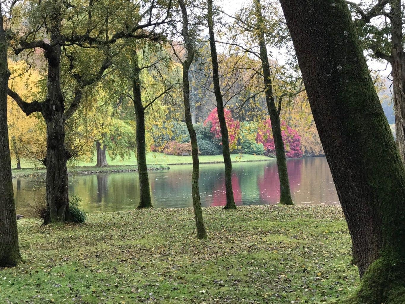 lake at stourhead taken by devon mama 11 National Trust Days Out With Children in Devon & Dorset www.minitravellers.co.uk