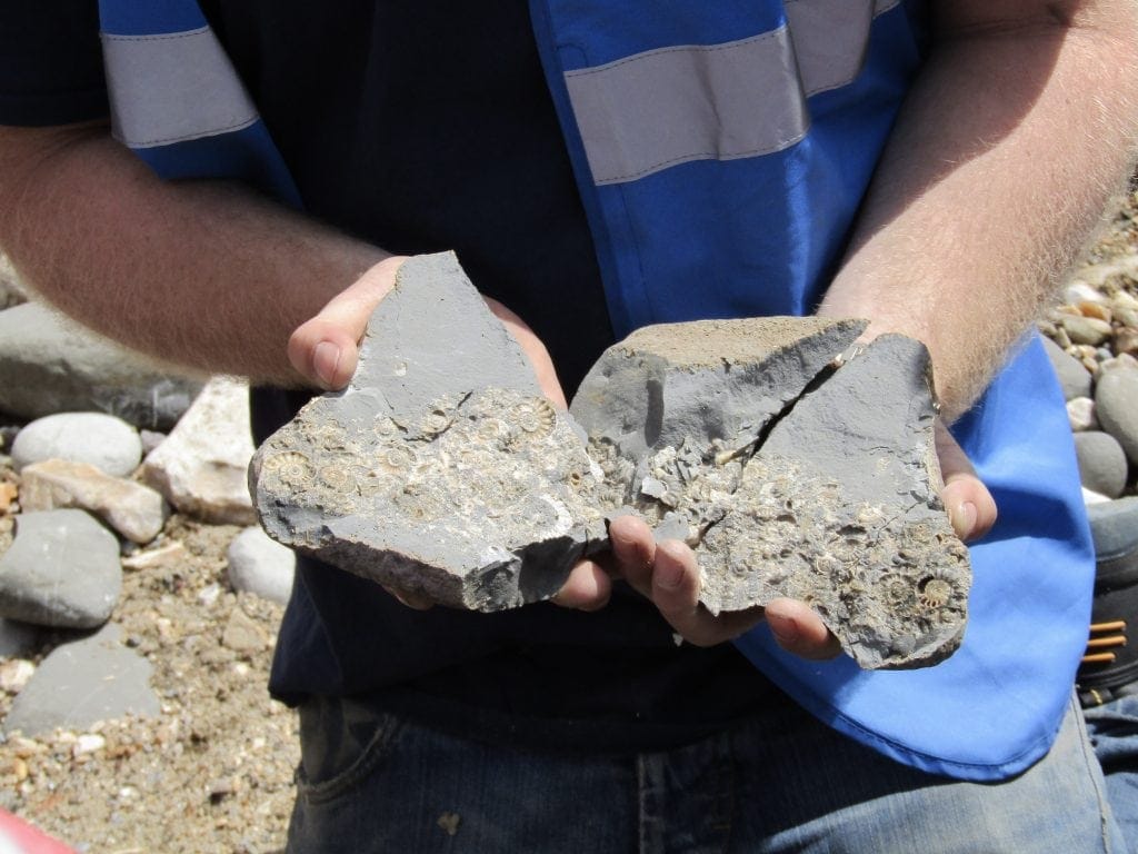 Fossil Hunting on Charmouth Beach www.minitravellers.co.uk