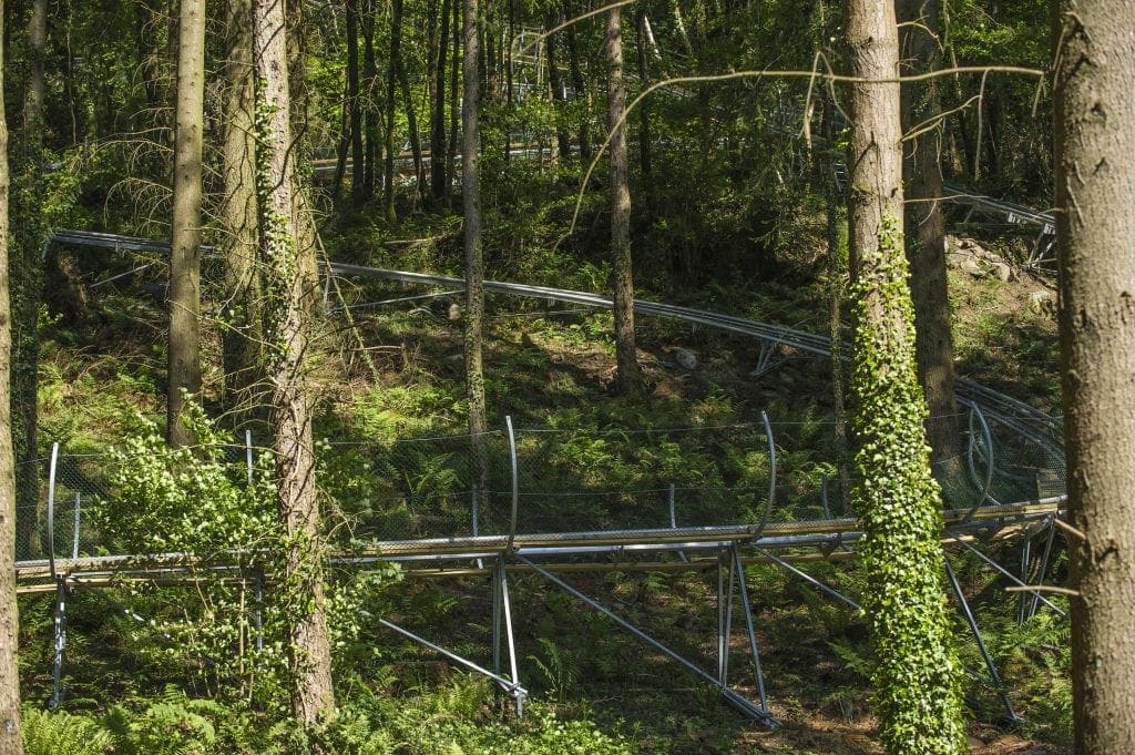 Review: Zip World | Tree Top Nets | Treehoppers | Fforest Coaster