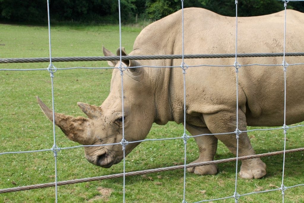 Noah's Ark Zoo Farm Review | Family Fun in Bristol www.minitravellers.co.uk