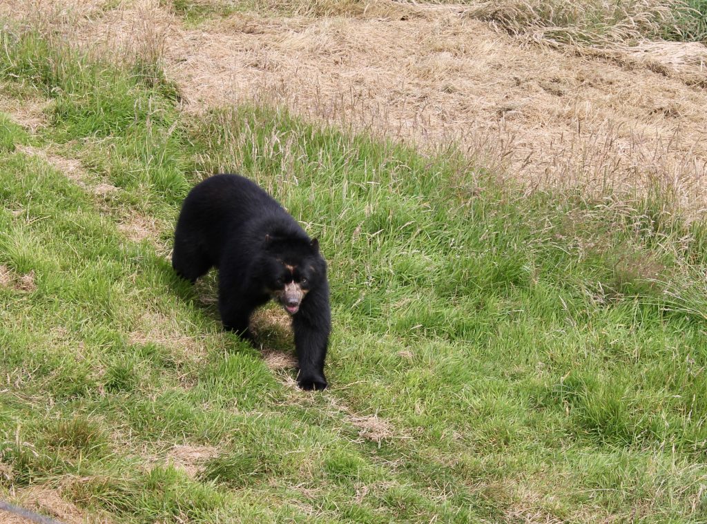 Noah's Ark Zoo Farm Review | Family Fun in Bristol www.minitravellers.co.uk