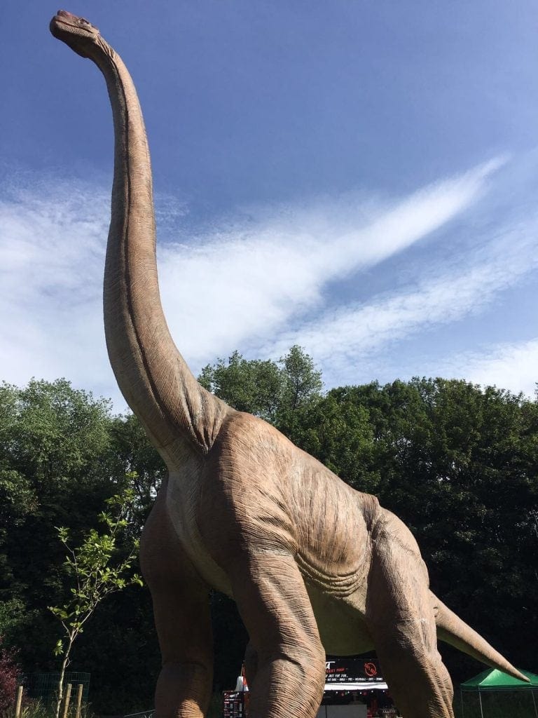 Jurassic Kingdom Tour | Family Day Out www.minitravellers.co.uk