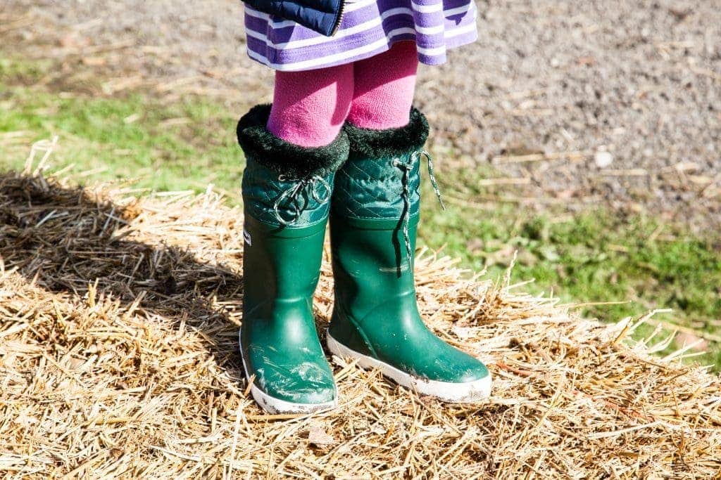 Muddy Puddles Puddleflex Wellies | Not Just Ordinary Wellies www.minitravellers.co.uk