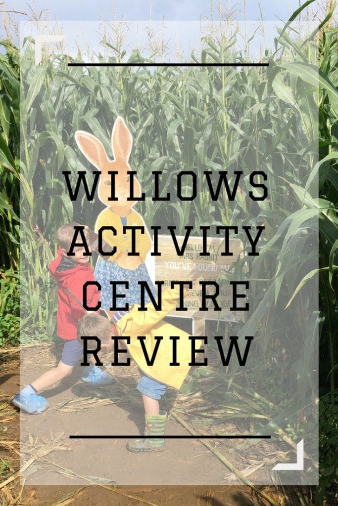 Willows Activity Centre Review