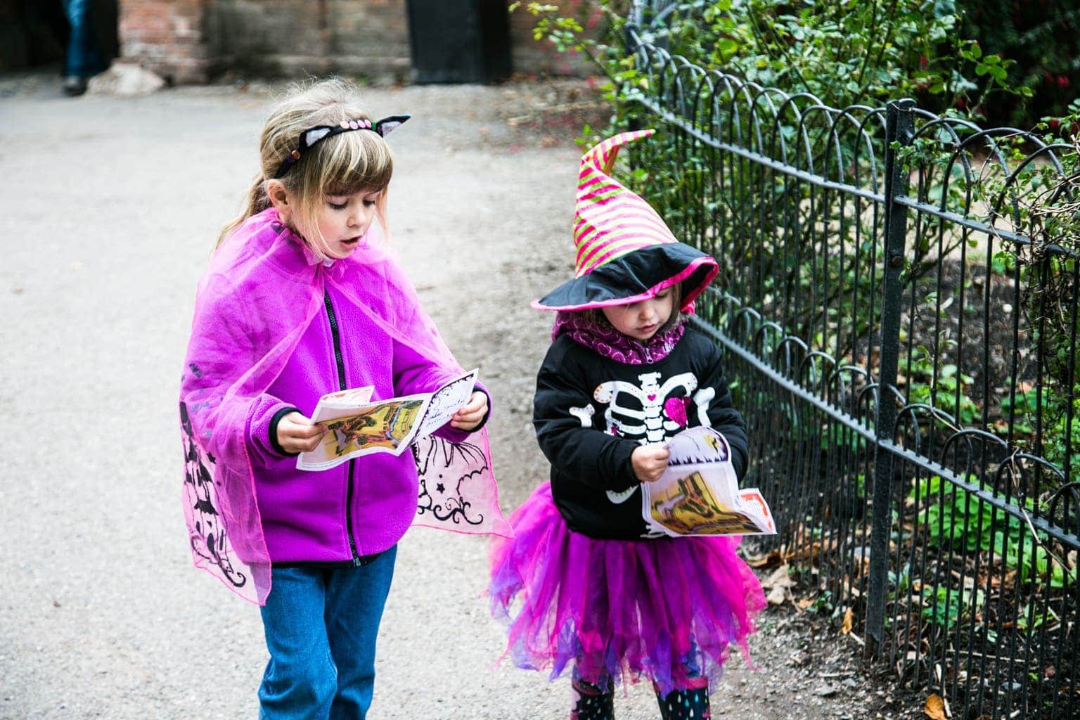 Attingham Park at Halloween | National Trust Days Out www.minitravellers.co.uk