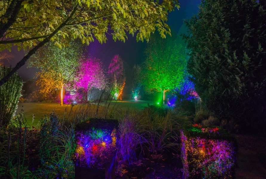 Christmas at Harlow Carr | Glow Winter Illuminations