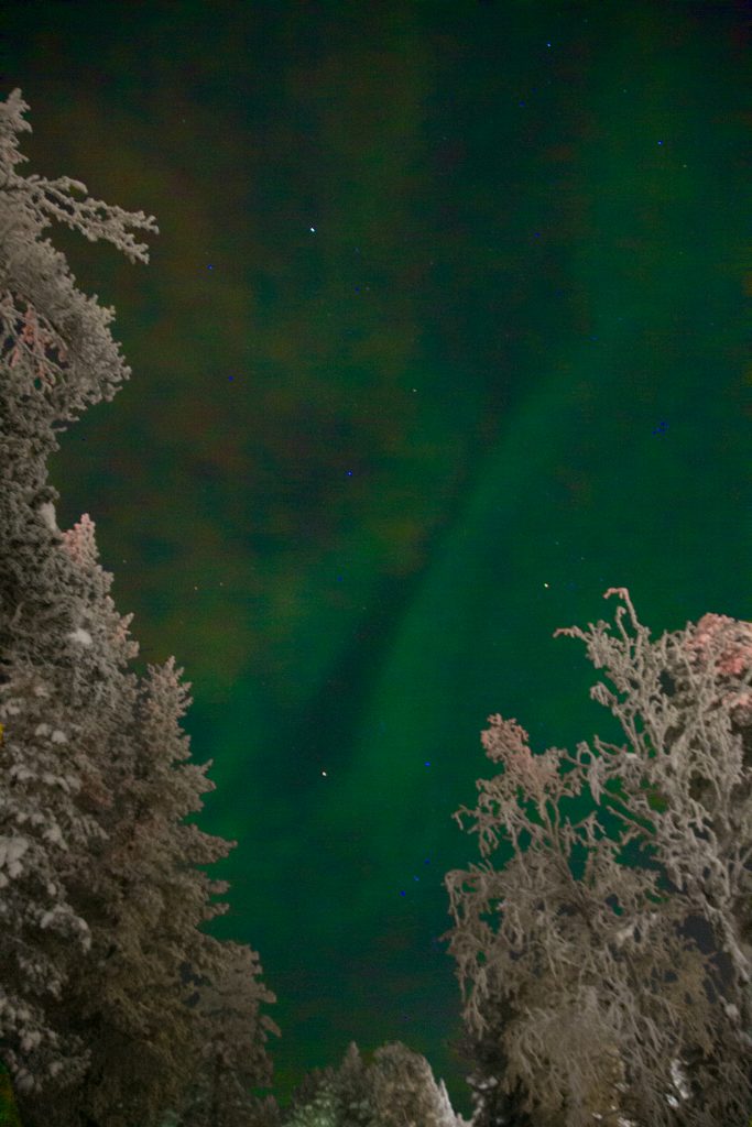 The Northern Lights - as seen on when visiting Lapland with kids