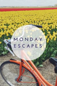 Monday Escapes