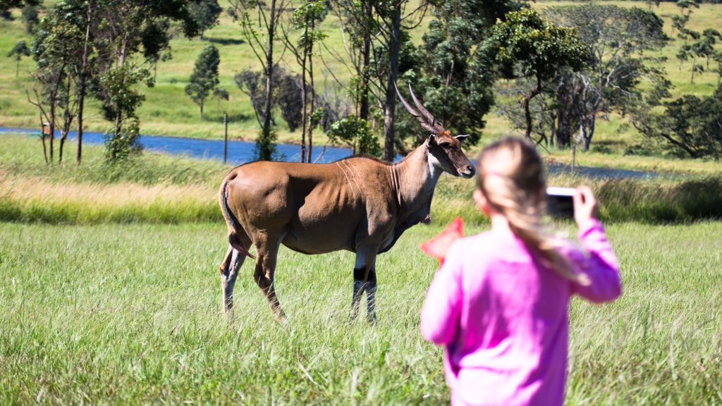 Game Haven Lodge | Hotel in Blantyre Malawi