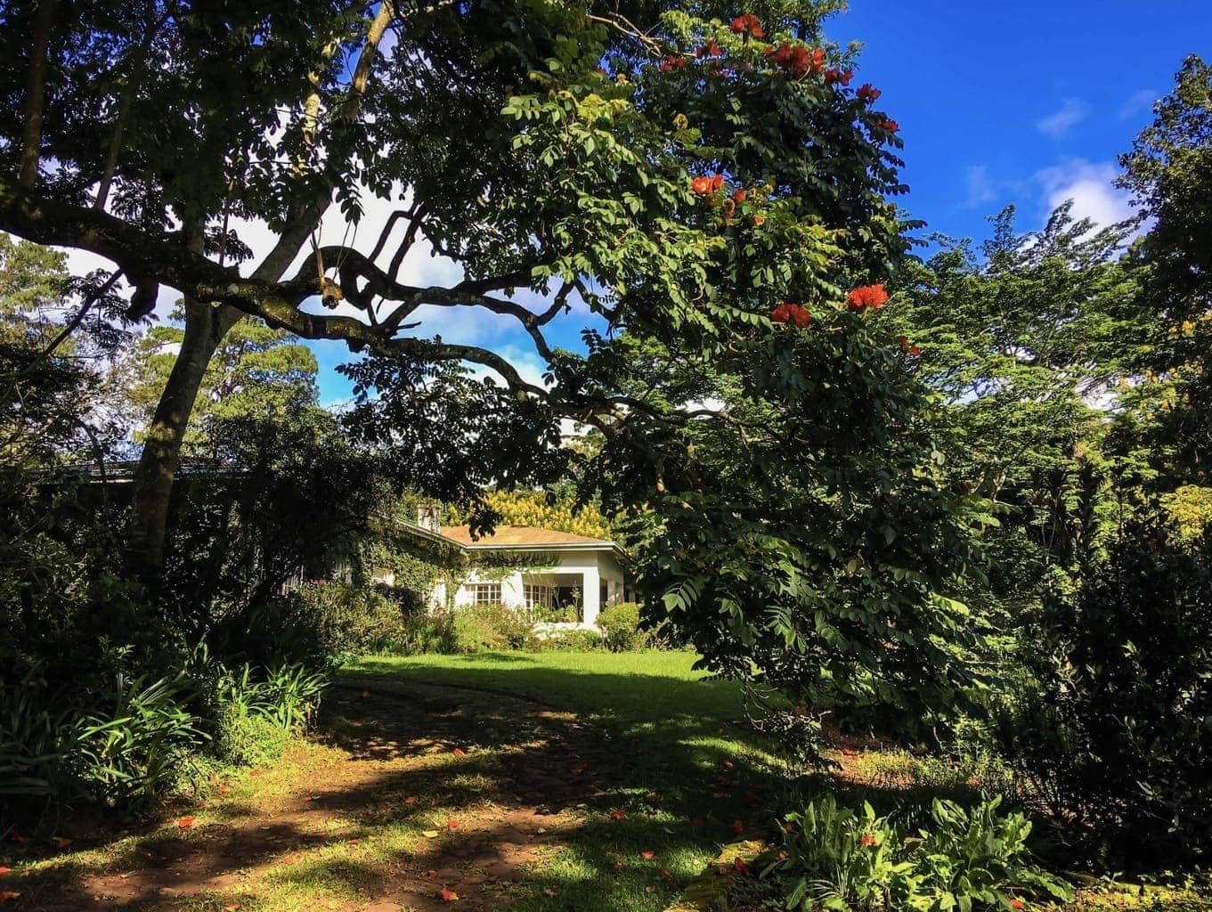 Chawani Bungalow at Satemwa Tea Estate