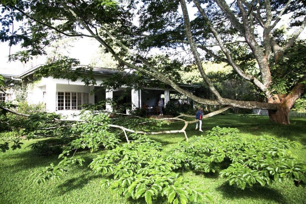 Chawani Bungalow at Satemwa Tea Estate