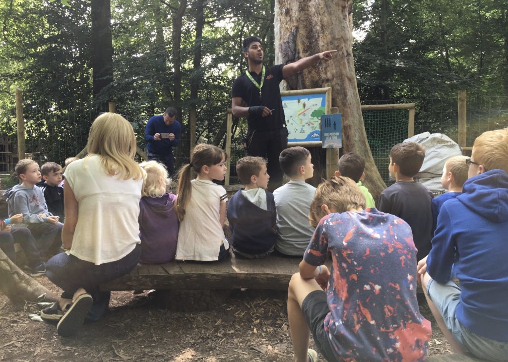 Tree Top Adventure at Go Ape Black Park, Buckinghamshire