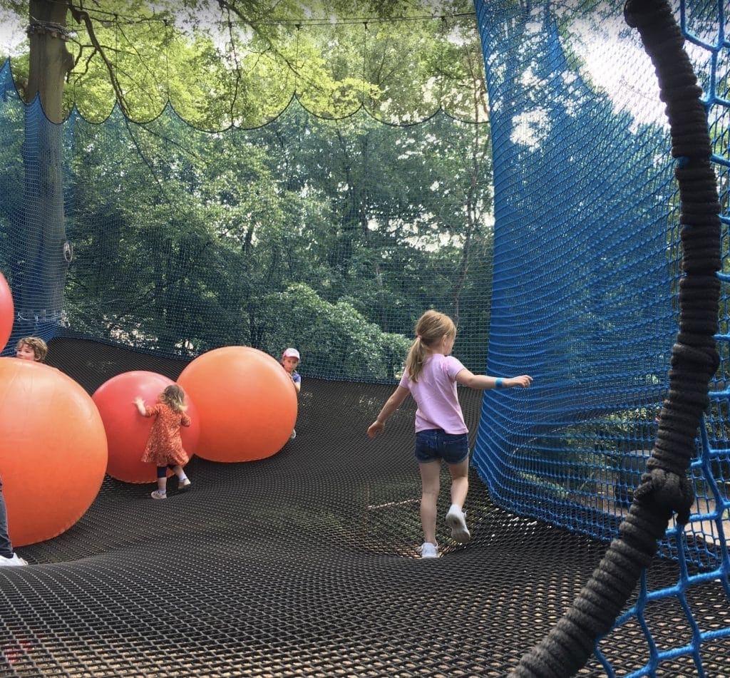 Tree Top Adventure at Go Ape Black Park, Buckinghamshire