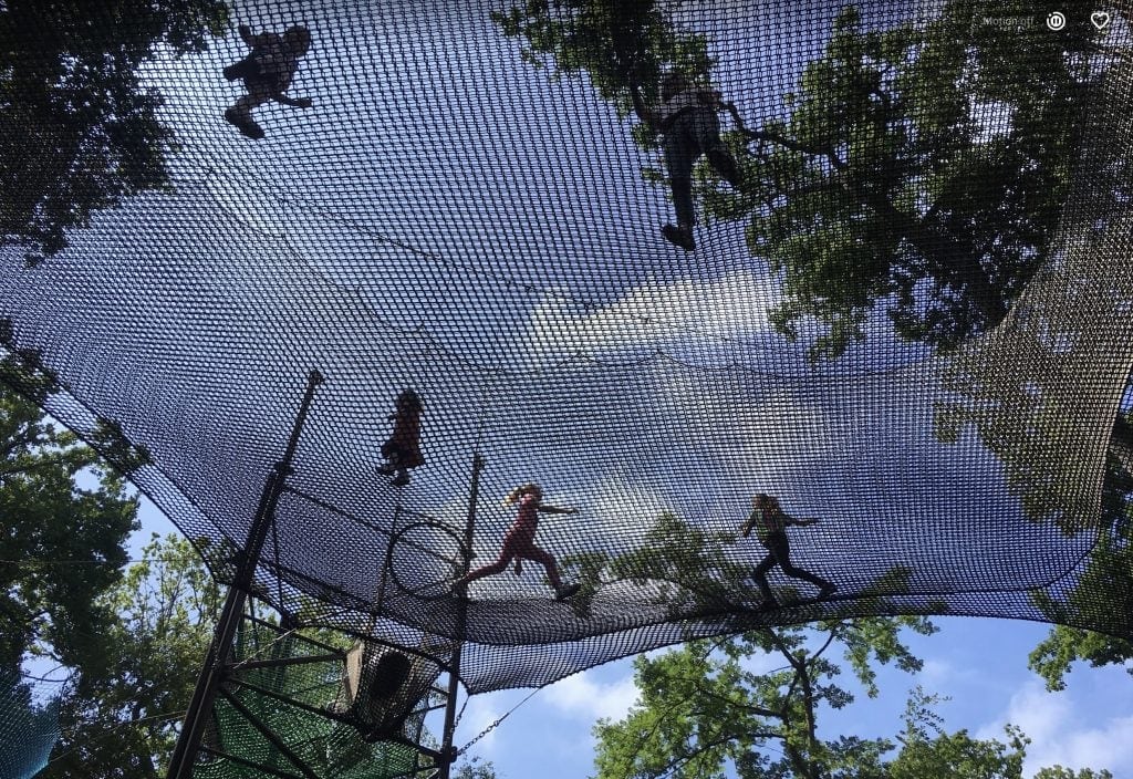 Tree Top Adventure at Go Ape Black Park, Buckinghamshire