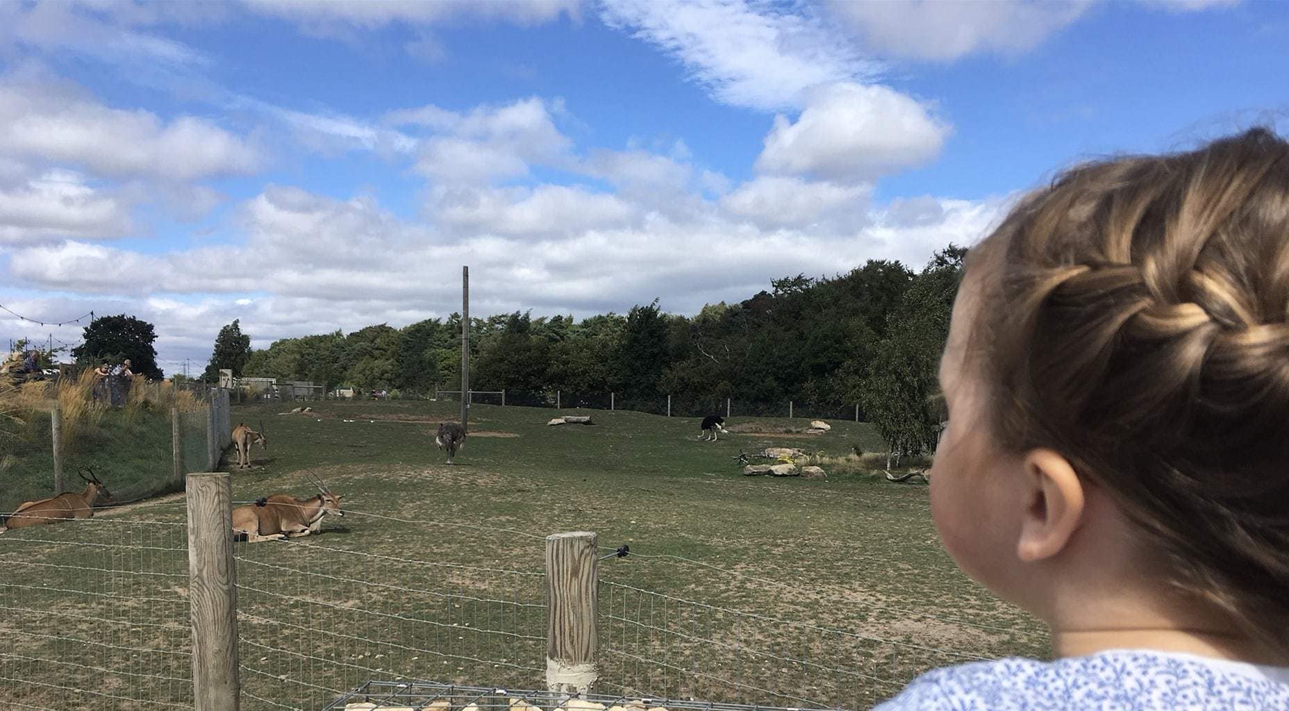 yorkshire wildlife park family ticket