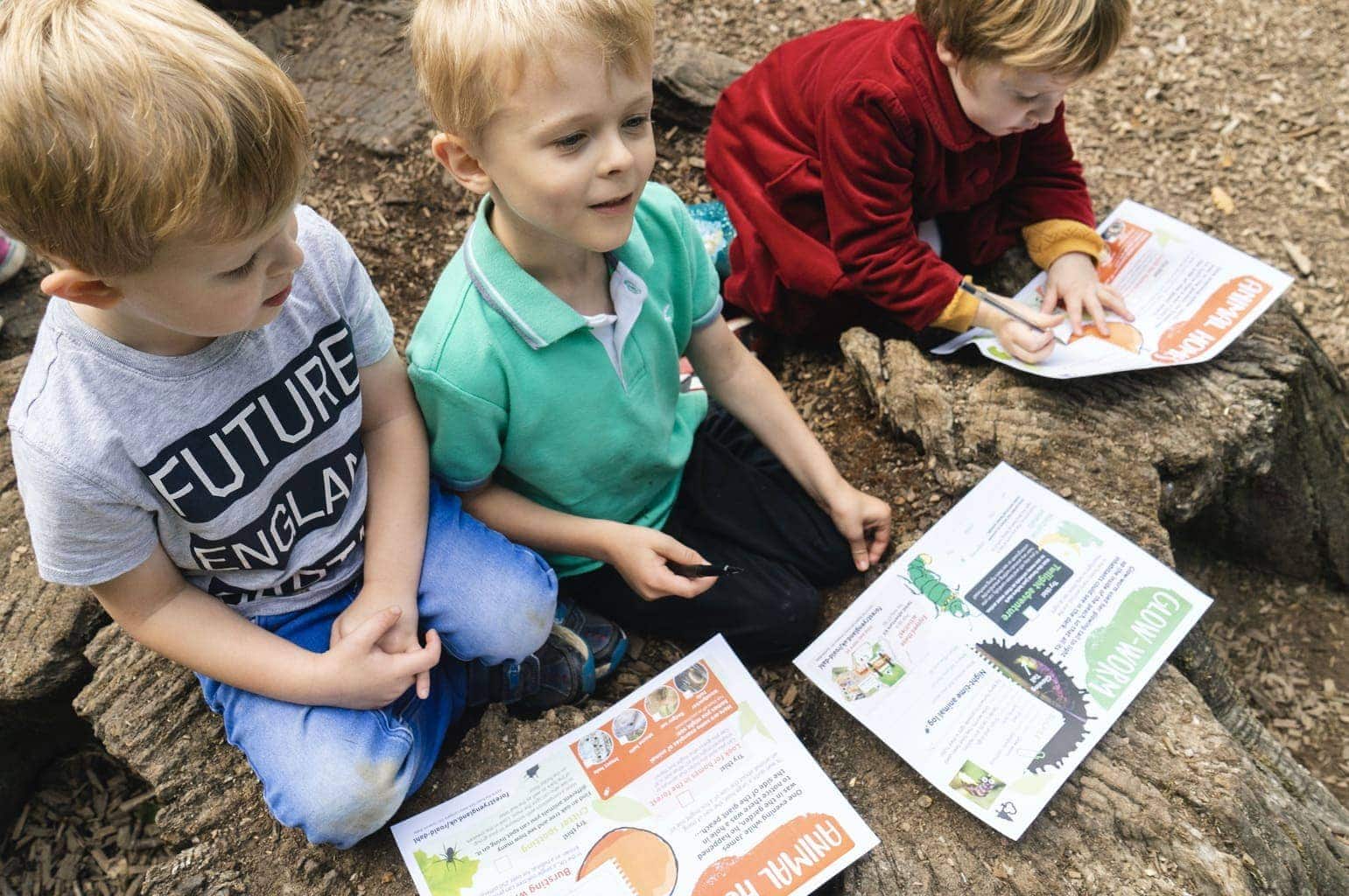 Forestry Commission England celebrate Roald Dahl with the Most Marvellous Forest Adventure Kit