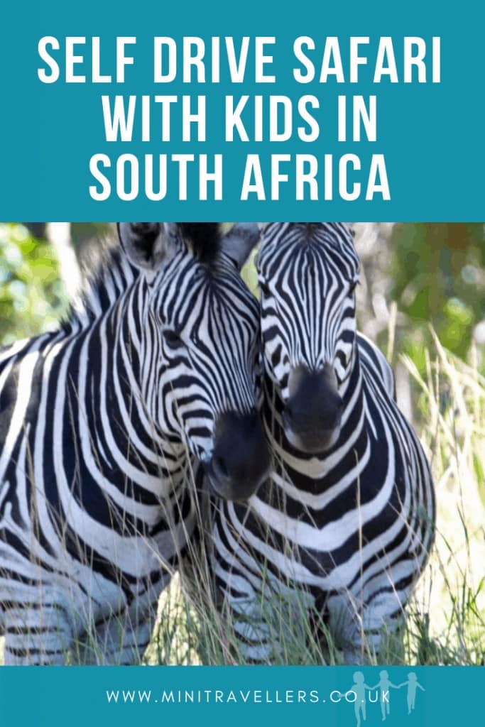 Self Drive Safari With Kids In South Africa