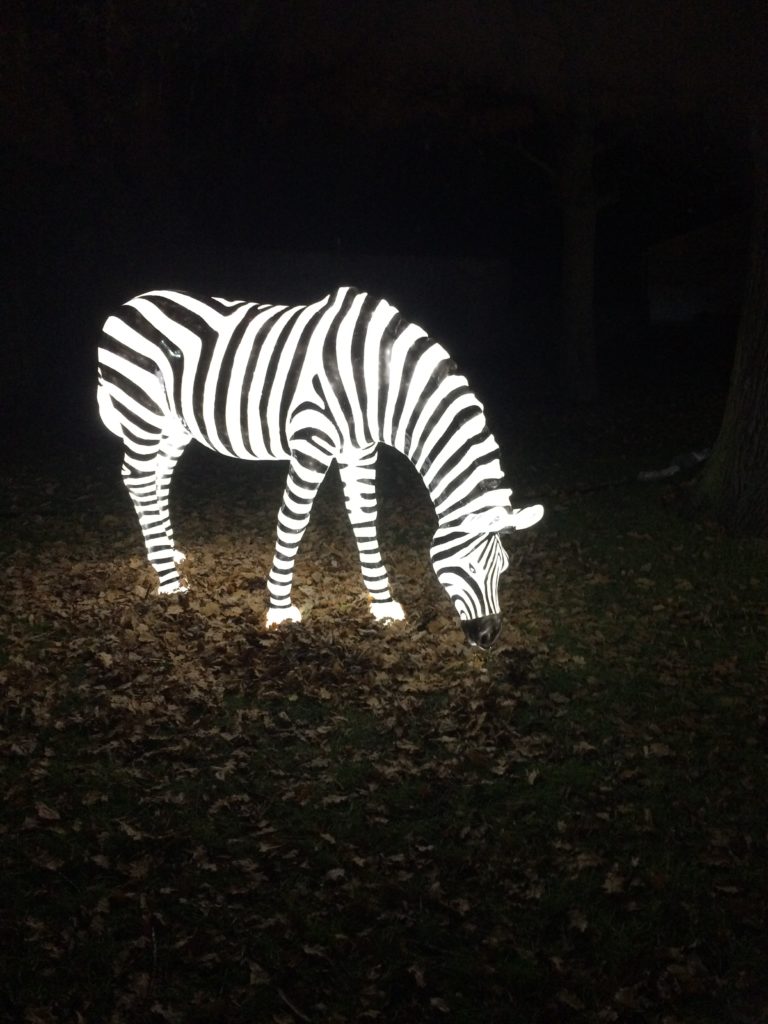 Enchanted at Knowsley Safari Park