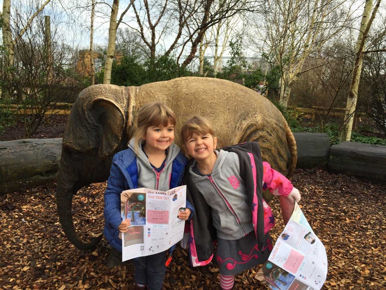 Family Guide To Chester Zoo