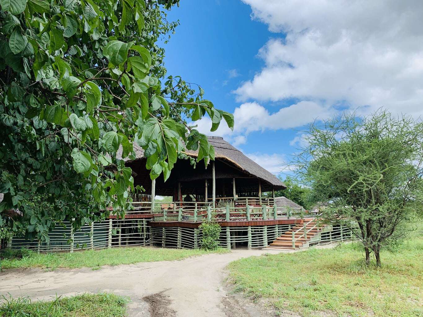 Tarangire River Camp | Family Adventure Holiday in Tanzania