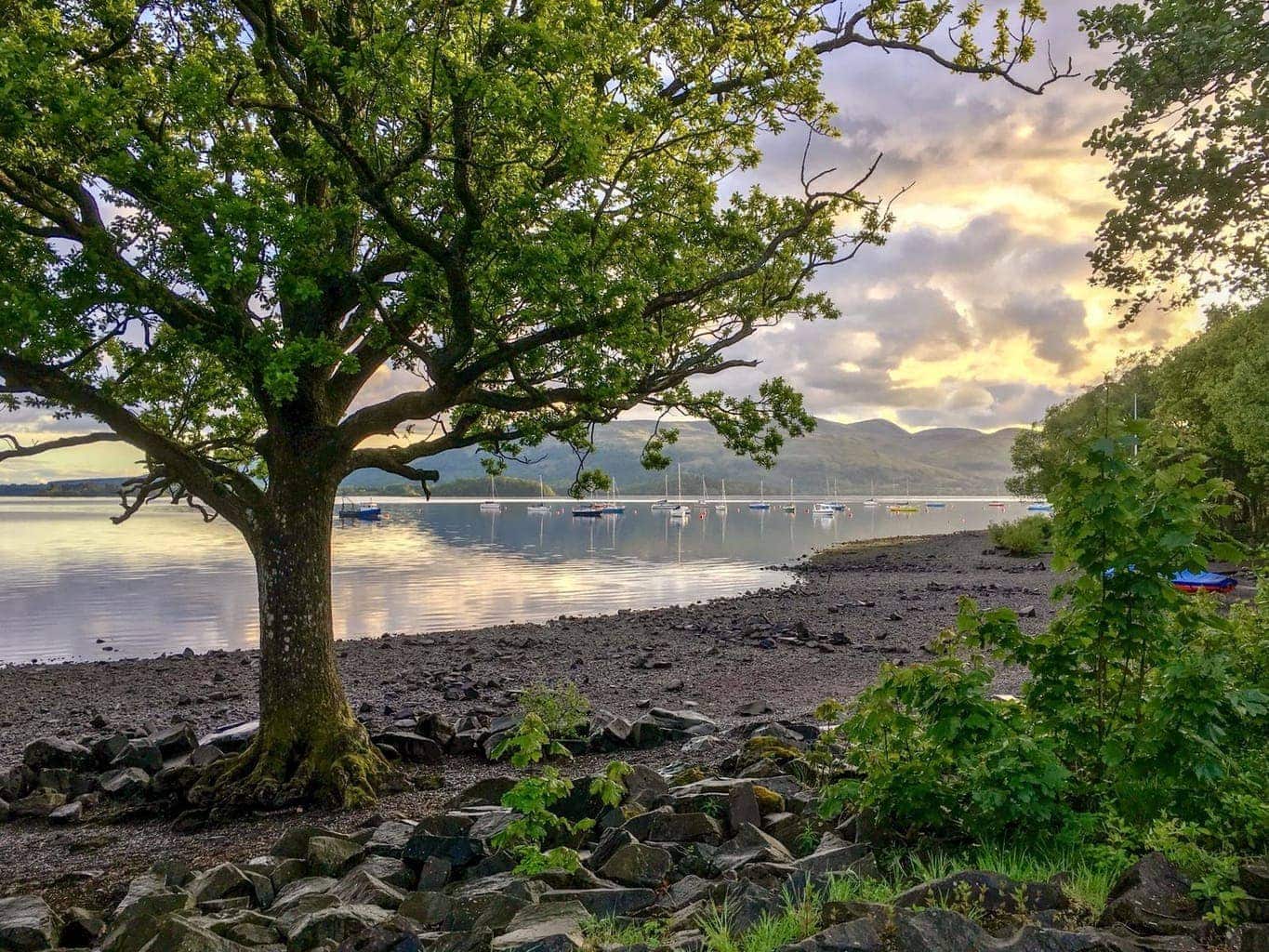 Millarochy Bay Loch Lomond Camping and Caravanning Club Site